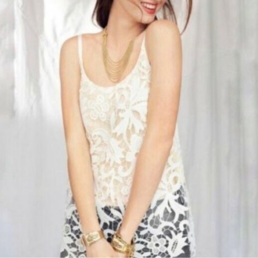 CAbi Lace Blouse #5254